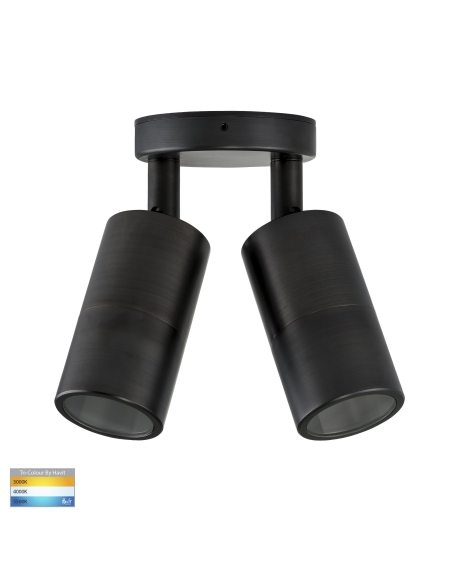 HV1395T - Double Adjustable Wall Pillar Light HV1395T