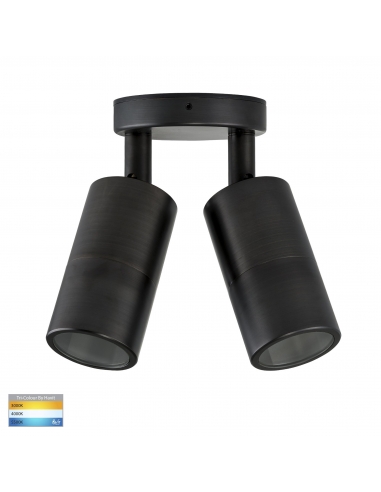 HV1397MR16T - Double Adjustable Wall Pillar Light HV1397MR16T