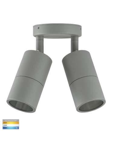 HV1345T - Double Adjustable Wall Pillar Light HV1345T