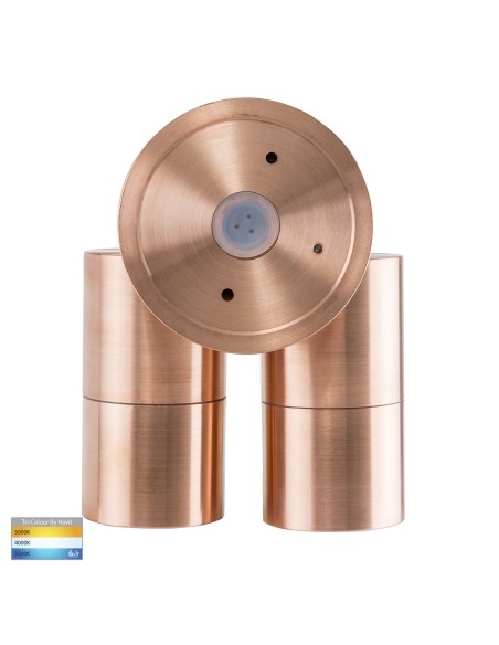 HV1315T - Double Adjustable Wall Pillar Light HV1315T
