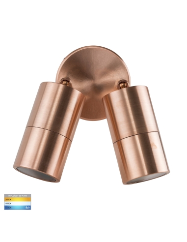 Double Adjustable Wall Pillar Light Solid Copper