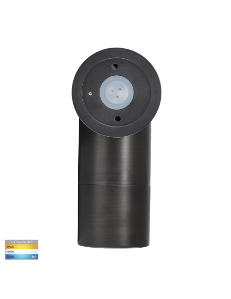 HV1295T - Single Adjustable Wall Pillar Light HV1295T