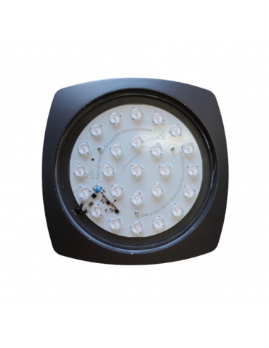 ULAN1 - ULAN Exterior LED Square Wall Ceiling ULAN1