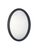 BULK Oval LED Exterior Bulkhead Lights IP66 IK10 - Black